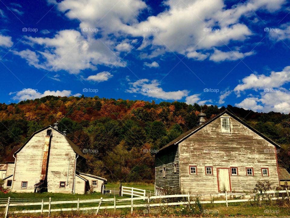 New England 