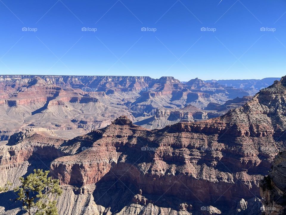 Vast and Big Grand Canyon South Rim Blue Skies desert plants Arizona beauty Natural Wonder Landscape 