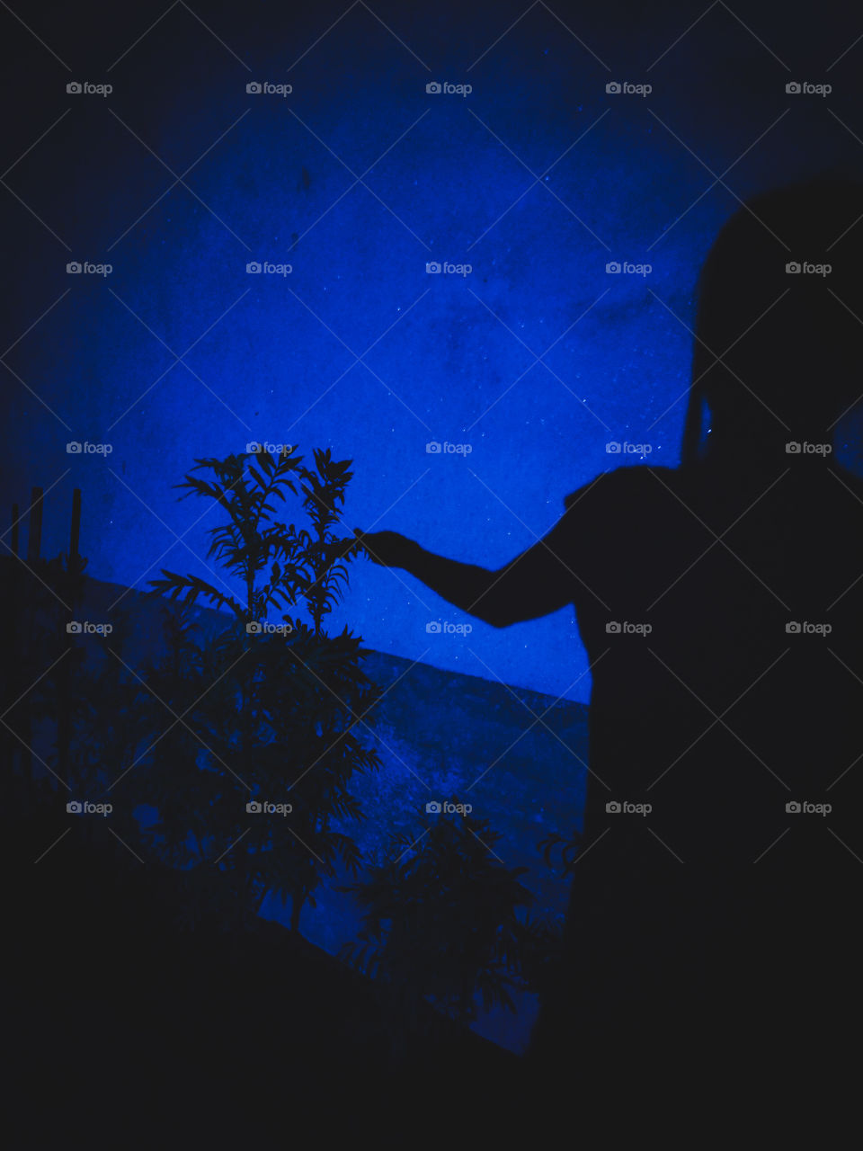 Shadowgraphy...chilling with plants