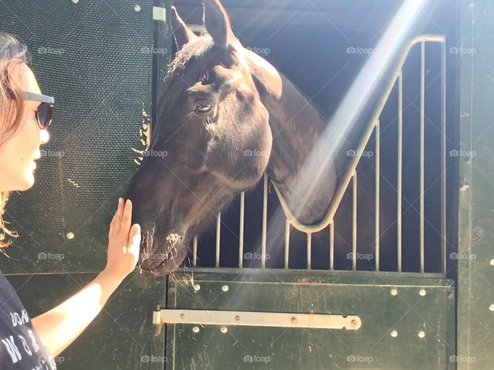 Warm spring day sunshine