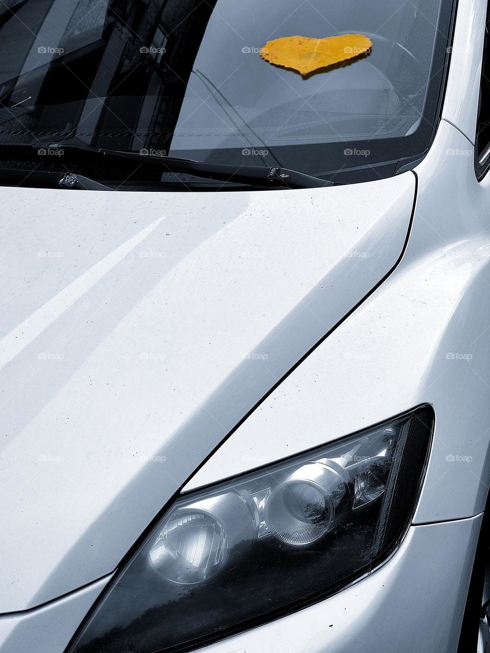 White Mazda.  Front of a white car.  On the windshield lies a yellow leaf in the shape of a heart