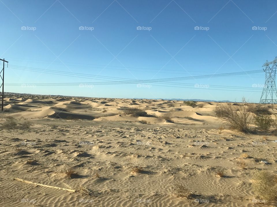 Beauty of the desert 