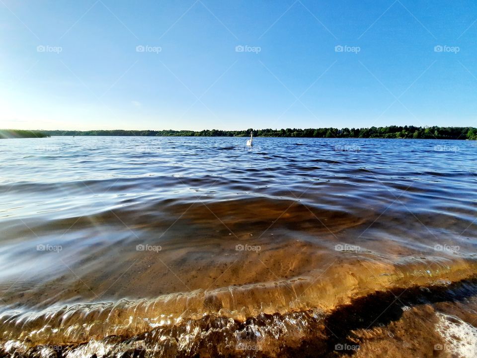 going with the waves watching the duck
