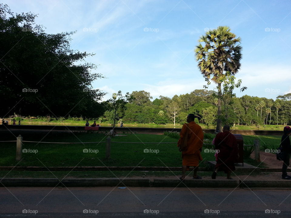 Monk, Siem Riep Cambodia