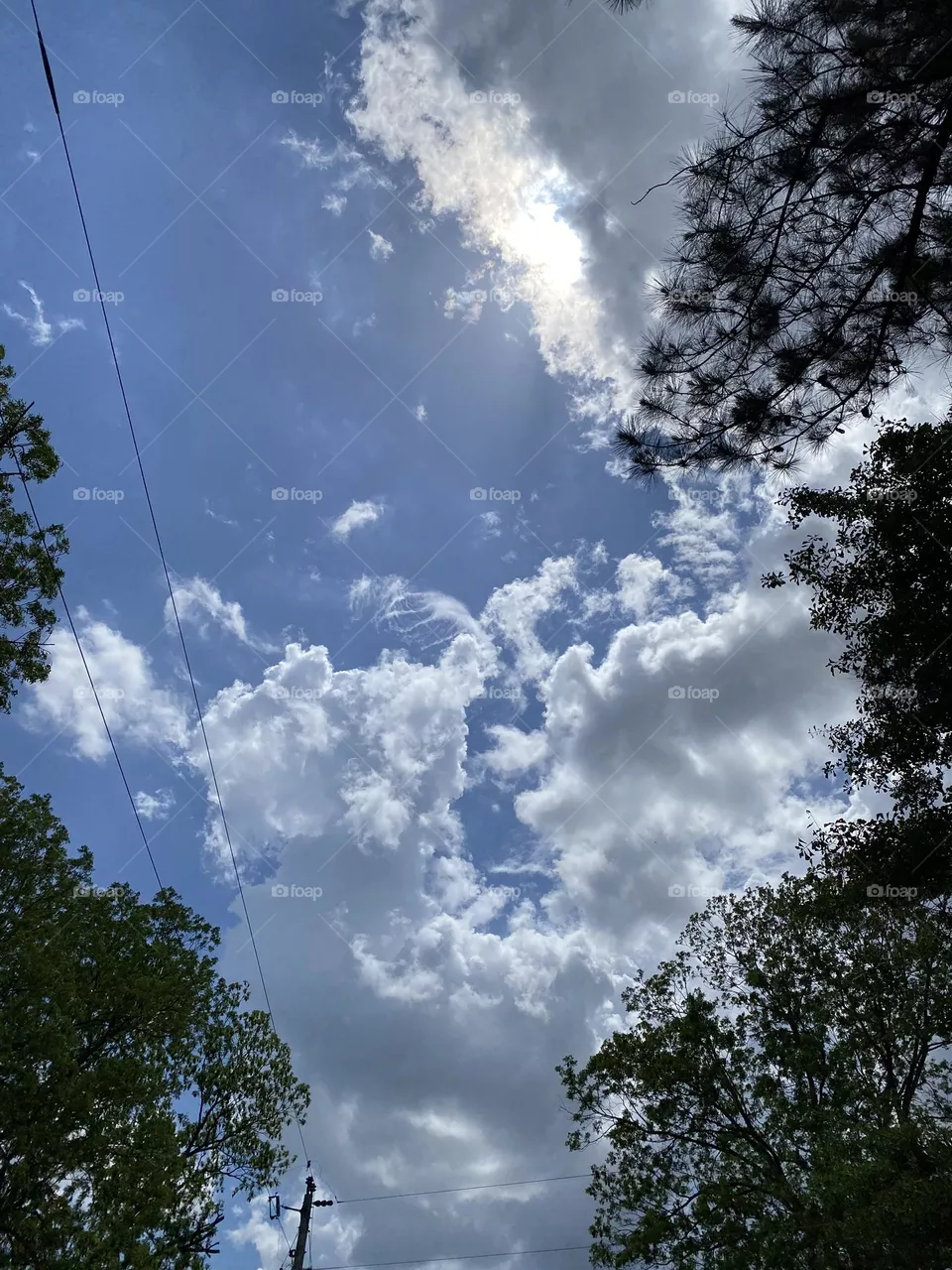 Beauty in the sky 