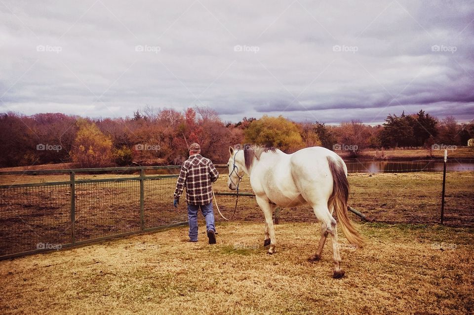 A man walking a horse from a to b in fall