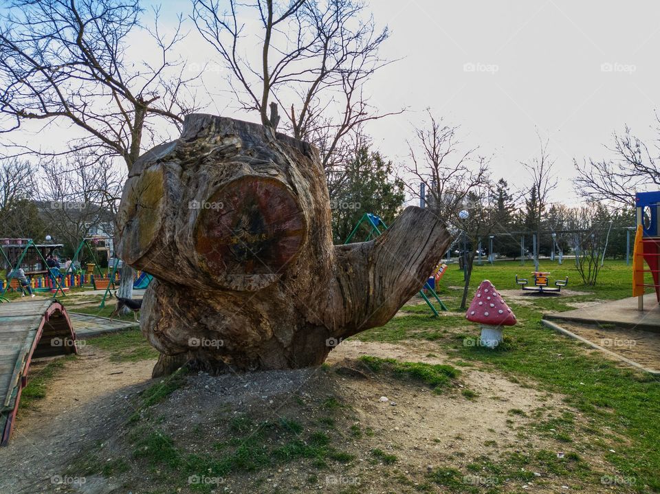 A large stump from an old tree in the park on the playground.