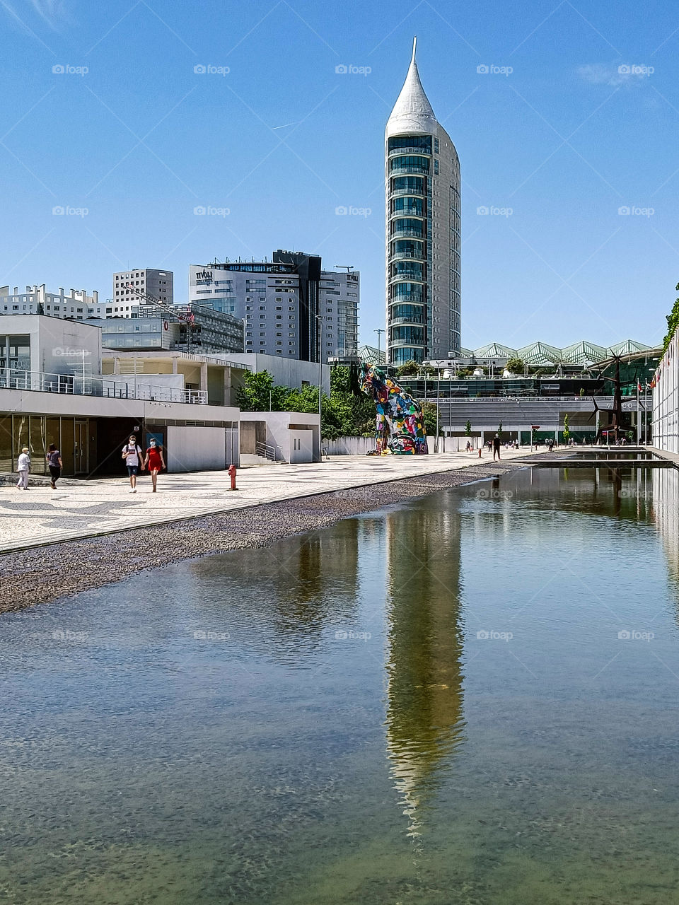 Reflection in the water