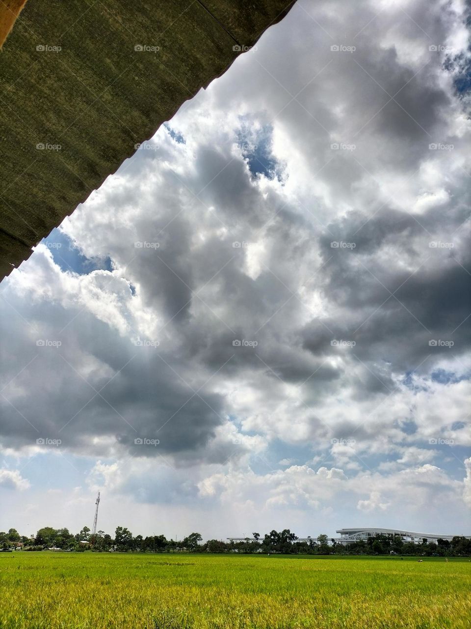 image of a cloudy and windblown sky