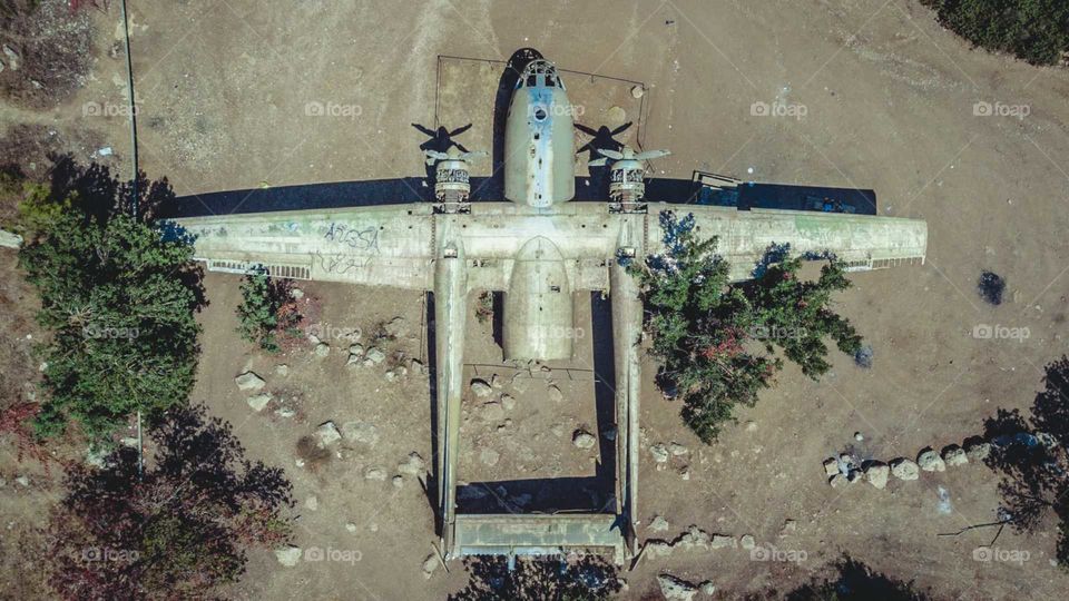 A crushed ww2 plane in the middle of a forest