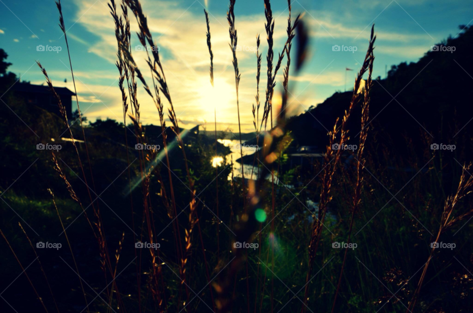 sun norway landscape ocean by mariannemarinech