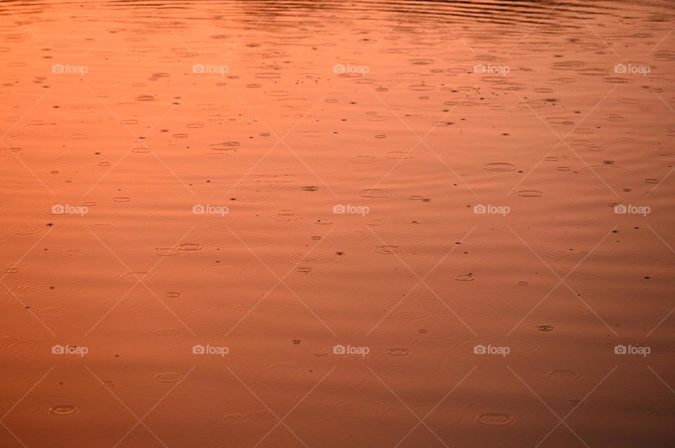 Rain drops in the pond water with the shadow of sunset sky 