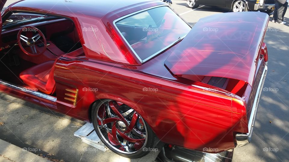 red and gold Car fender