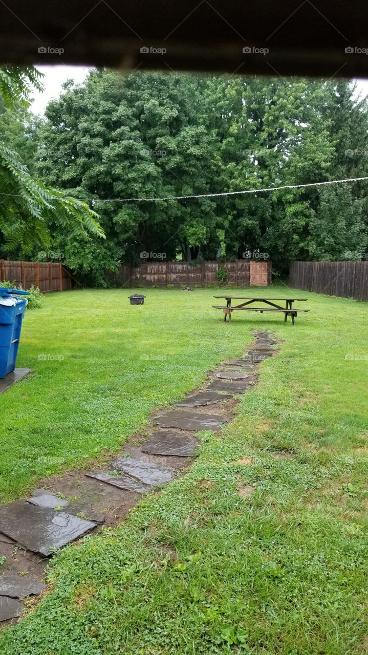 The love of yard play for the children, and they k9's