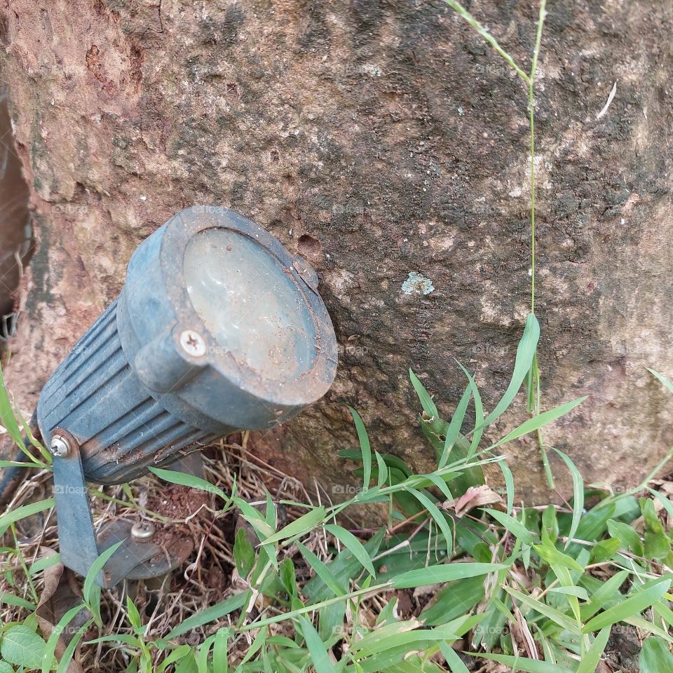 garden lights mounted on tree trunks