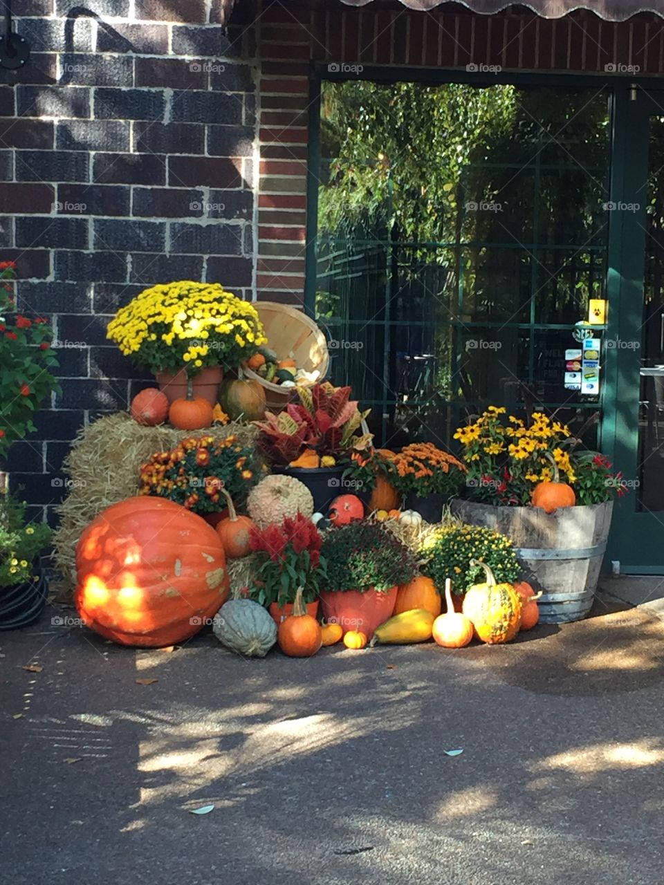 Fall, Garden, No Person, Lantern, House