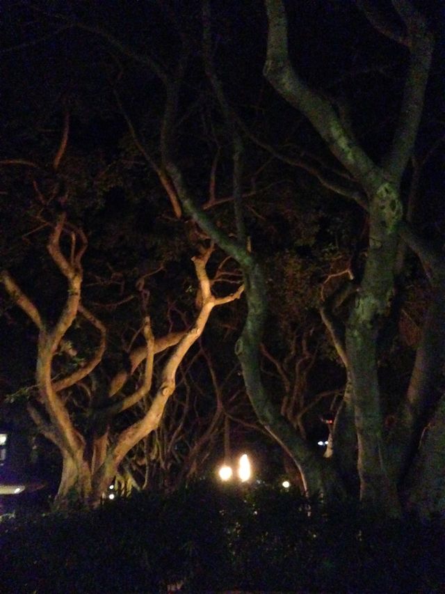 Trees
