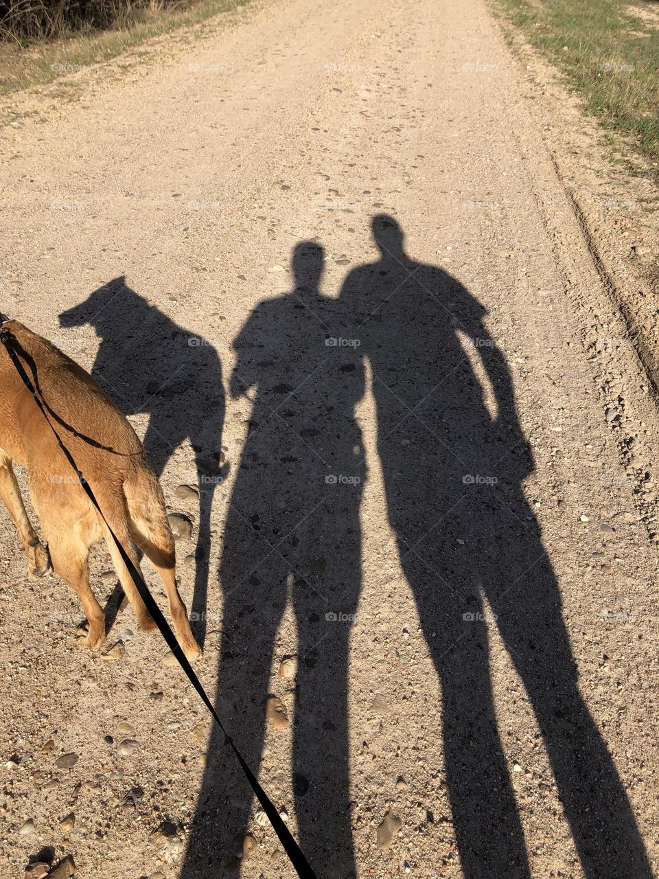 Had to take a snap of us walking back to the ranch after our run - the shadows were so dark and I love the outline of the three of us. 