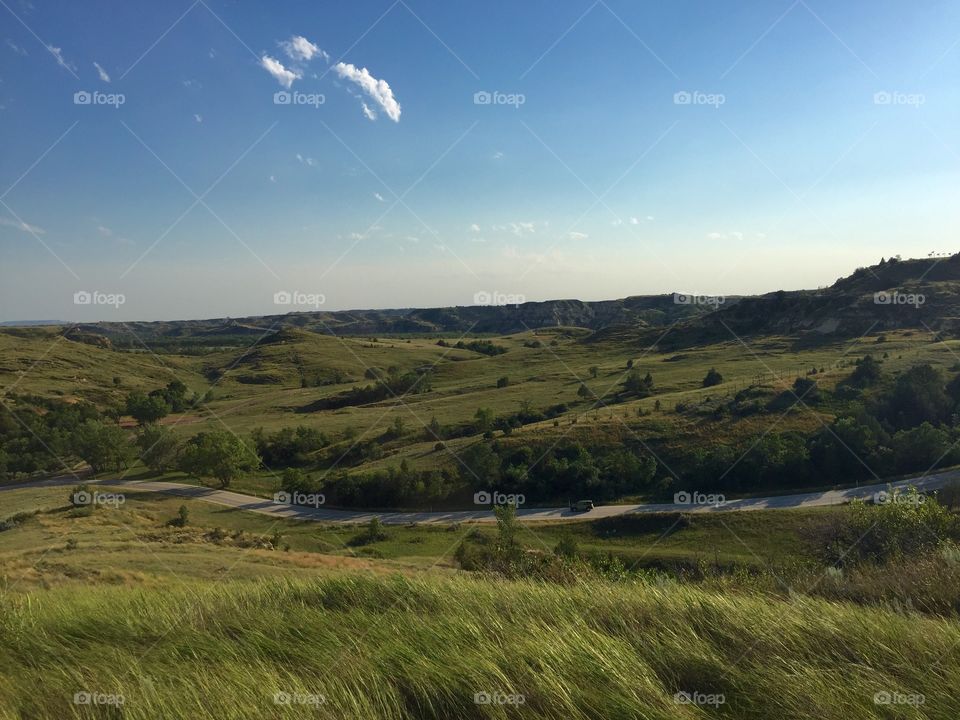 Landscape, No Person, Cropland, Agriculture, Grassland