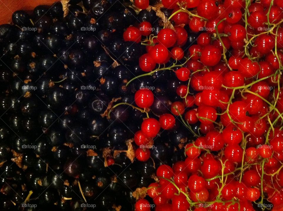 Berries