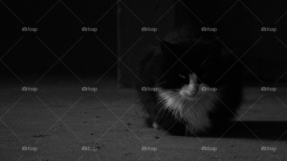 Don't know what home means