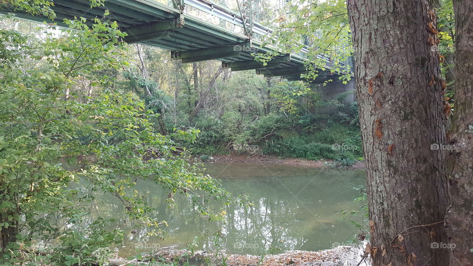 bridge over the blue river