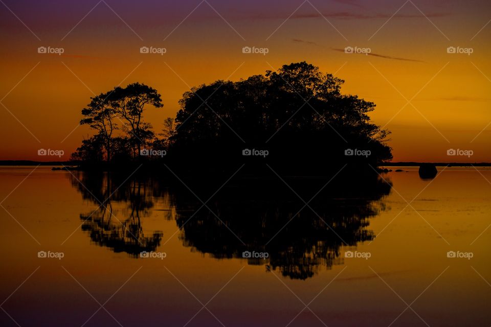 Reflection of silhouette trees on lake