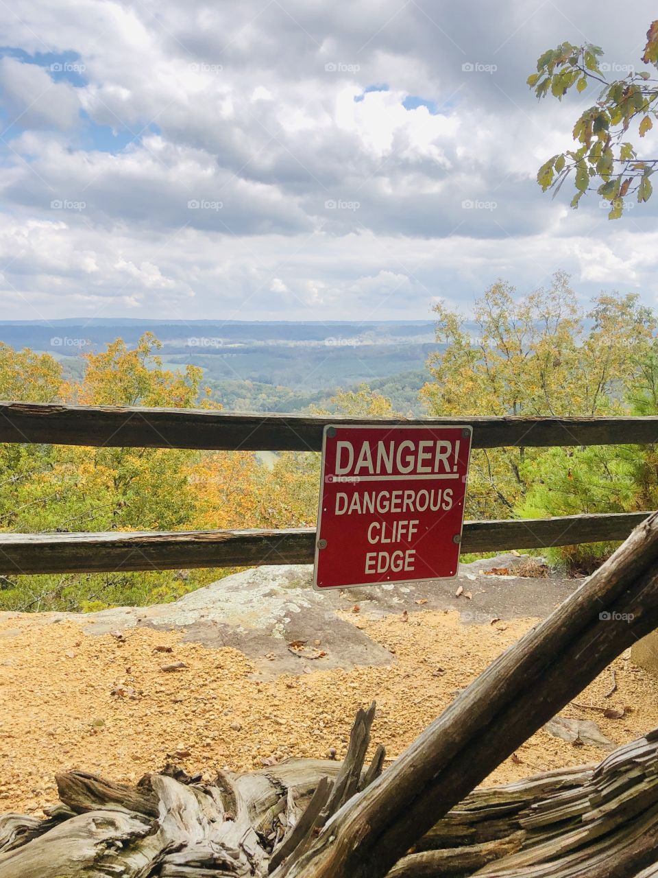 View from cliff at Palisades Park 