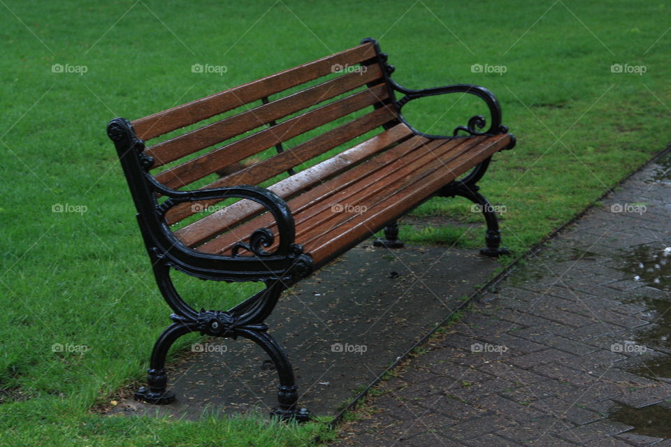 bench in the rain