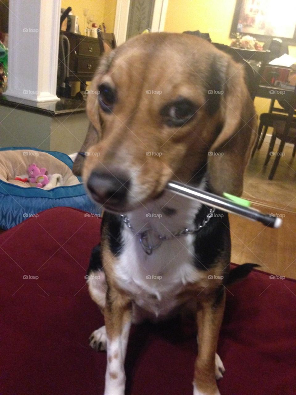 just writing some notes