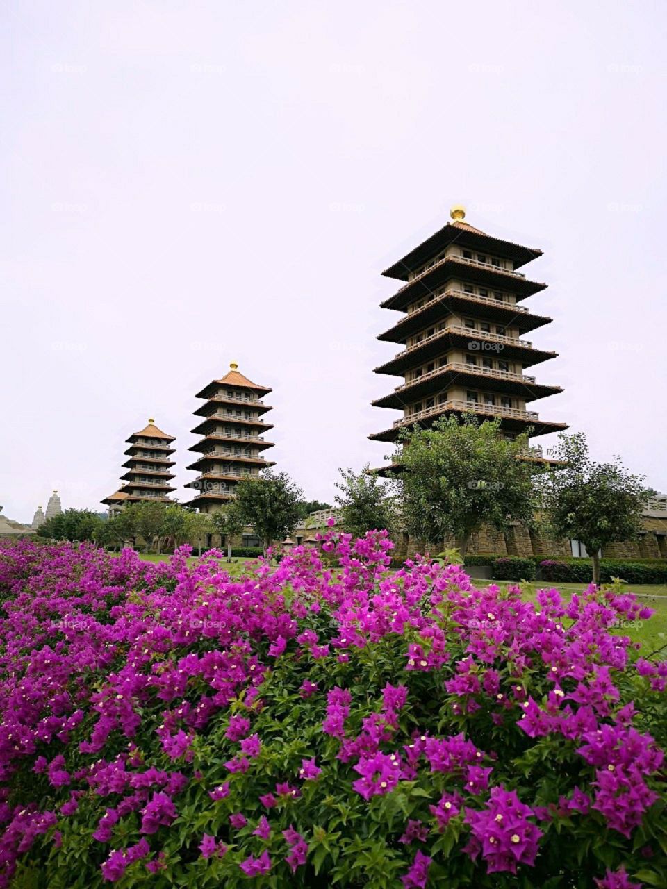 #me can't take off my eyes for this