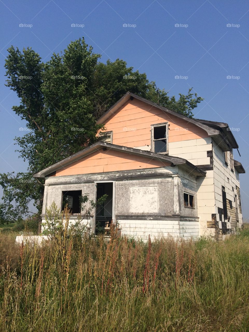 Abandoned farm house 