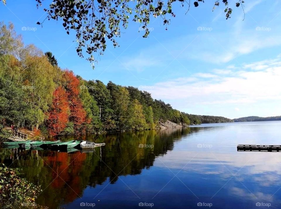 Lake with boats and bridge, and trees in autumn colours.