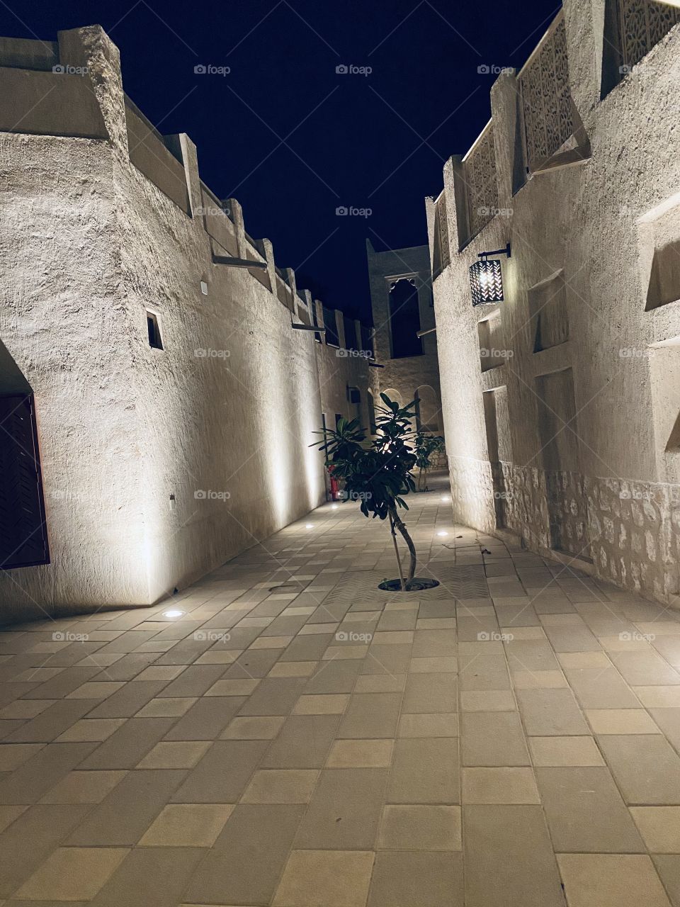 Protect old building for new generation but they were more care about tree 