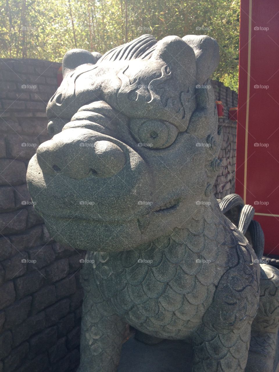 dragon stature
