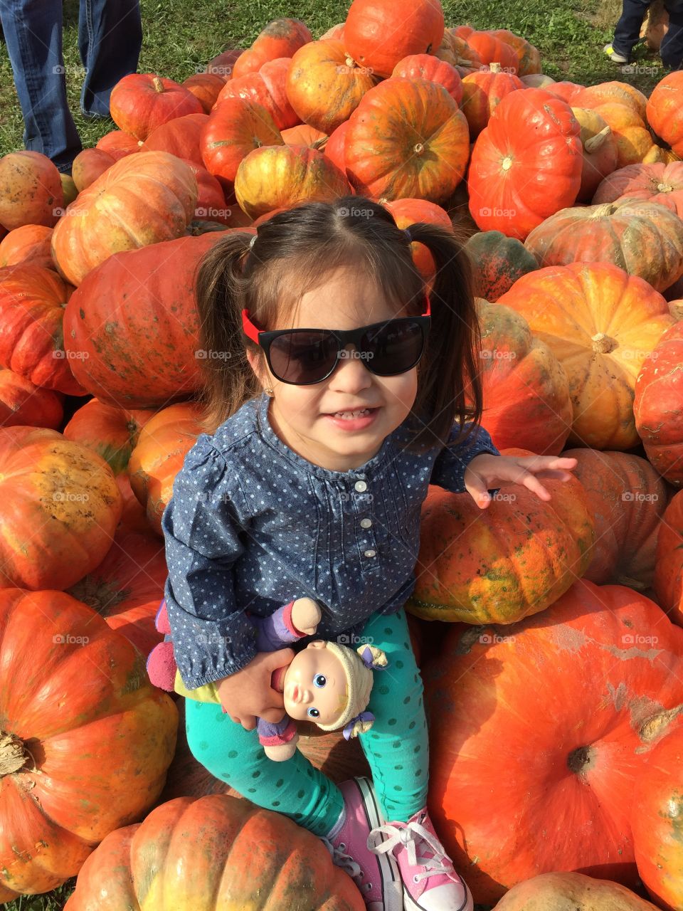 Too cool for the pumpkin patch