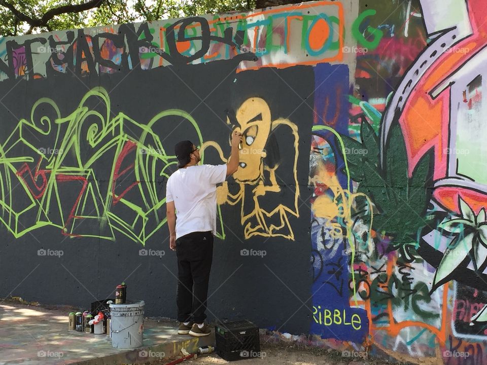 Graffiti Park Artwork. Austin