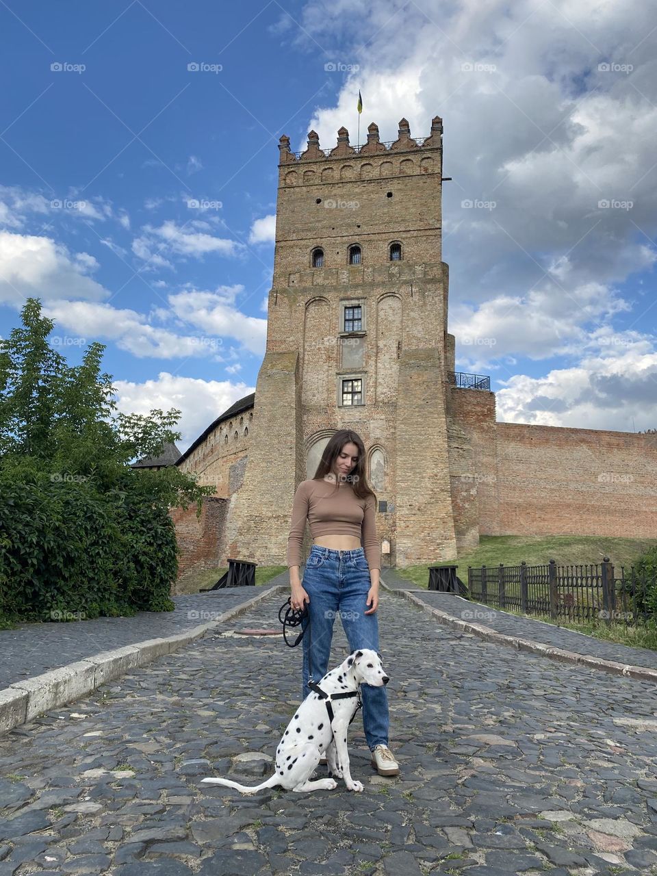 Summer in the city with puppy