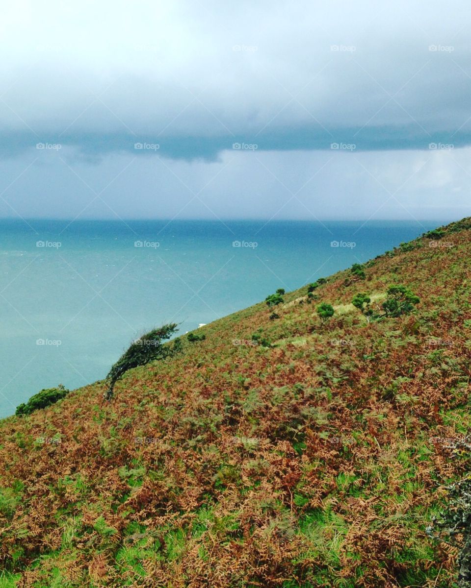 The angle of nature, exmoor national park 