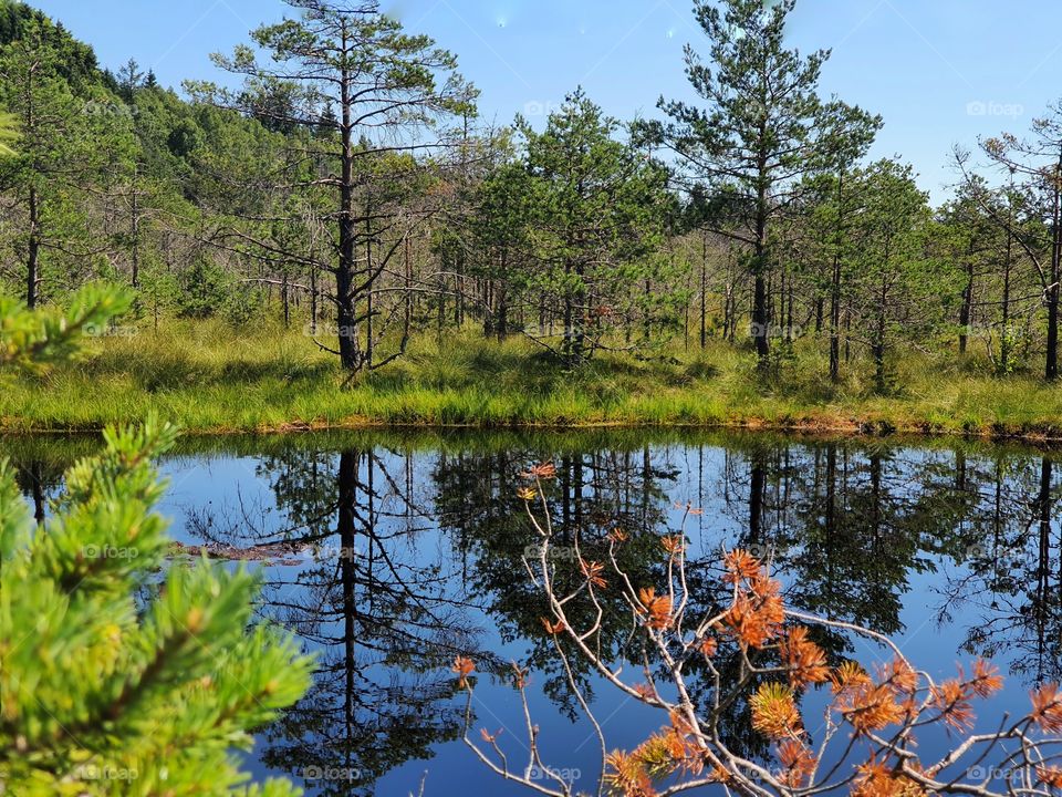 Beauty of nature🌱