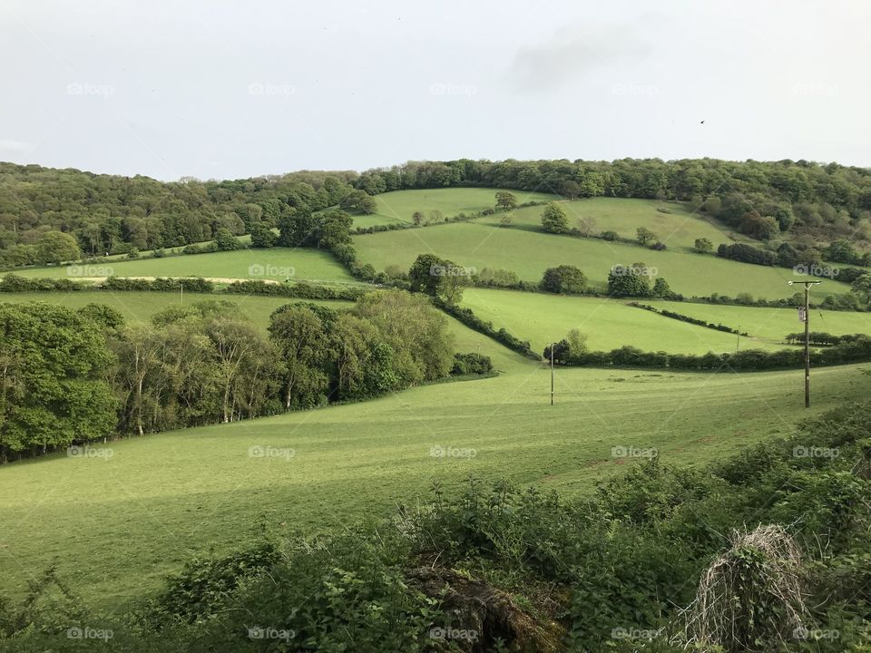 Outstanding rolling hills of Somerset right on the Devon border of the UK.