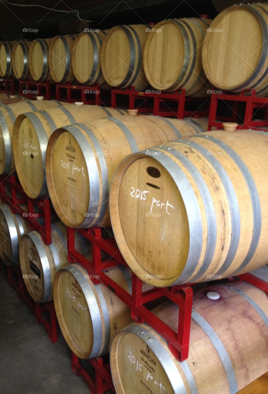 Wine Barrels at Boordy Vineyards