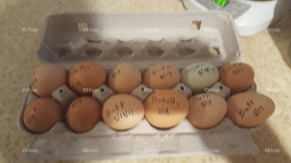 Eggs can be very personal