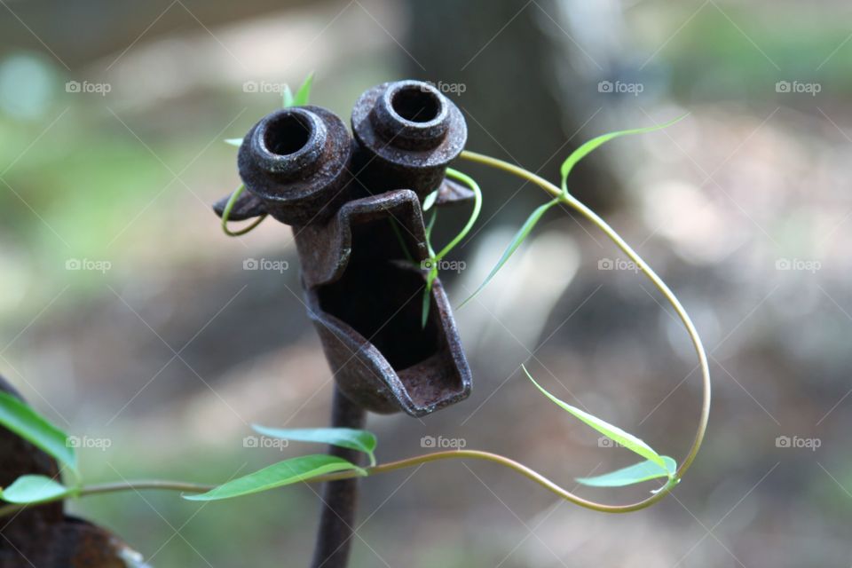 art rusting and entwined.