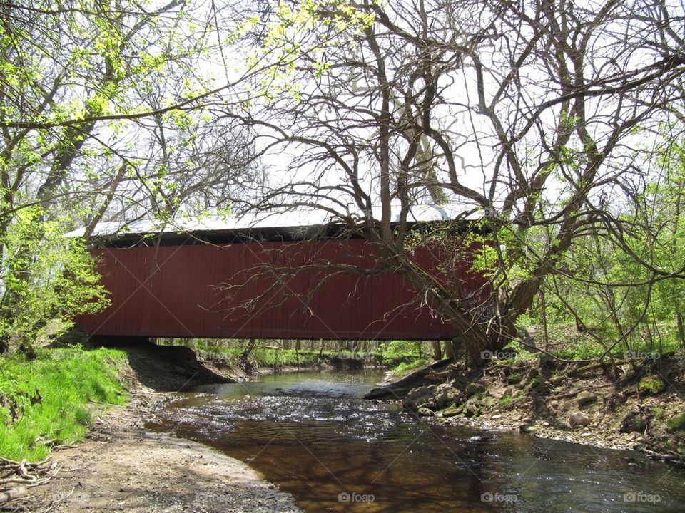 Covered Bridge Over River