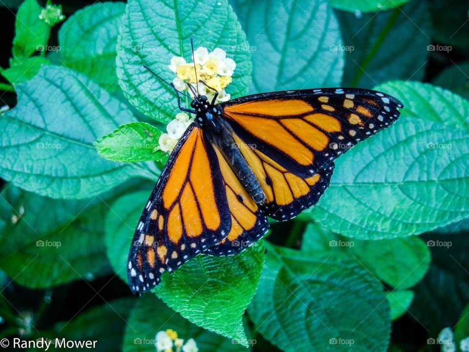 Rodger Williams Park Zoo
Providence RI