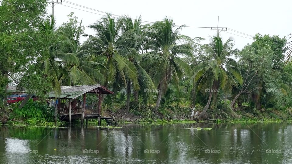 hut canal side. hut in nature canal side