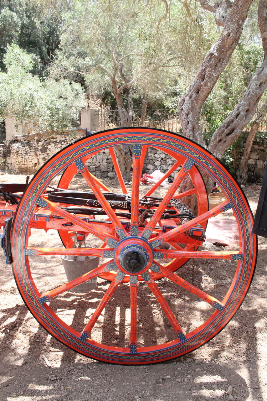 Cart wheel