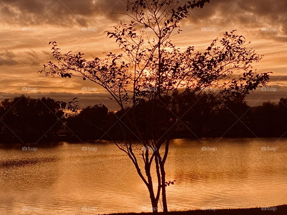 It’s not everyday that you get two great pics of the same Target but when this happens take it. 