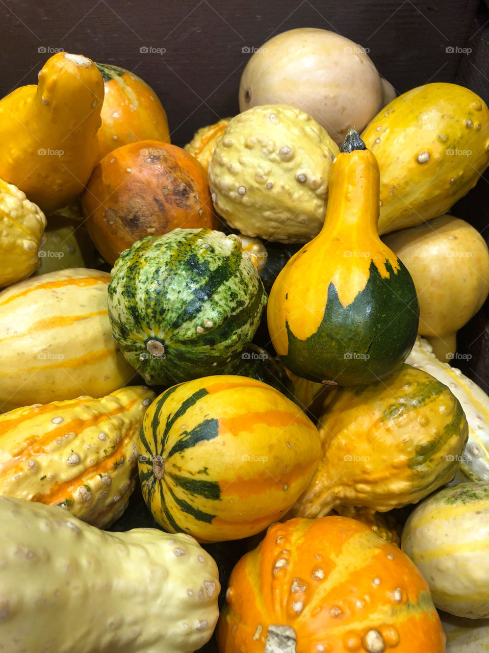 Various Yellow and green squash.